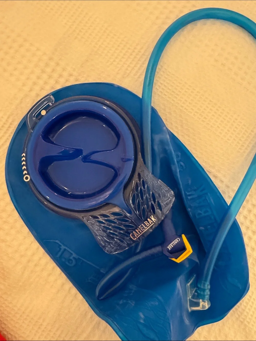 CamelBak Hot Pink Hydration Pack with Blue Reservoir